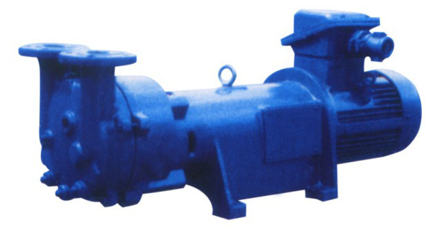 W-2BV6 系列水环真空泵
