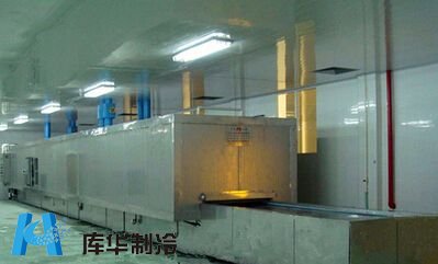 冷庫(kù)速凍隧道的安裝設(shè)計(jì)特點(diǎn)有哪些？