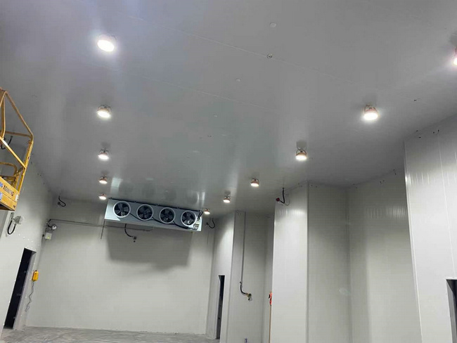 建個存放10噸貨物的冷庫大概需要多少錢？